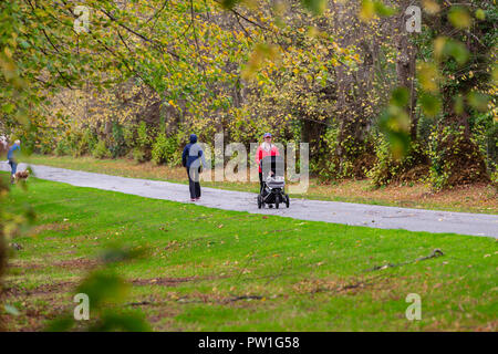 Celbridge, Grafschaft Kildare, Irland. 12 Okt, 2018: Die Folgen des Sturms Callum im Castletown Park, Celbridge. Ruhe am Morgen und Paar herabgefallene Äste aber keine größeren Schäden in der Forstwirtschaft. Die Menschen wandern und jugging foretasted vor dem Regen für den Nachmittag als Sturm Callum bewegt sich über Irland. Quelle: Michael Grubka/Alamy leben Nachrichten Stockfoto