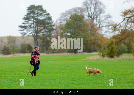 Celbridge, Grafschaft Kildare, Irland. 12 Okt, 2018: Die Folgen des Sturms Callum im Castletown Park, Celbridge. Ruhe am Morgen und Paar herabgefallene Äste aber keine größeren Schäden in der Forstwirtschaft. Die Menschen wandern und jugging foretasted vor dem Regen für den Nachmittag als Sturm Callum bewegt sich über Irland. Quelle: Michael Grubka/Alamy leben Nachrichten Stockfoto