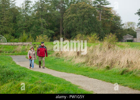 Celbridge, Grafschaft Kildare, Irland. 12 Okt, 2018: Die Folgen des Sturms Callum im Castletown Park, Celbridge. Ruhe am Morgen und Paar herabgefallene Äste aber keine größeren Schäden in der Forstwirtschaft. Die Menschen wandern und jugging foretasted vor dem Regen für den Nachmittag als Sturm Callum bewegt sich über Irland. Quelle: Michael Grubka/Alamy leben Nachrichten Stockfoto