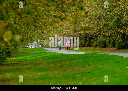 Celbridge, Grafschaft Kildare, Irland. 12 Okt, 2018: Die Folgen des Sturms Callum im Castletown Park, Celbridge. Ruhe am Morgen und Paar herabgefallene Äste aber keine größeren Schäden in der Forstwirtschaft. Die Menschen wandern und jugging foretasted vor dem Regen für den Nachmittag als Sturm Callum bewegt sich über Irland. Quelle: Michael Grubka/Alamy leben Nachrichten Stockfoto