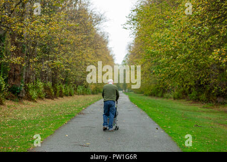 Celbridge, Grafschaft Kildare, Irland. 12 Okt, 2018: Die Folgen des Sturms Callum im Castletown Park, Celbridge. Ruhe am Morgen und Paar herabgefallene Äste aber keine größeren Schäden in der Forstwirtschaft. Die Menschen wandern und jugging foretasted vor dem Regen für den Nachmittag als Sturm Callum bewegt sich über Irland. Quelle: Michael Grubka/Alamy leben Nachrichten Stockfoto
