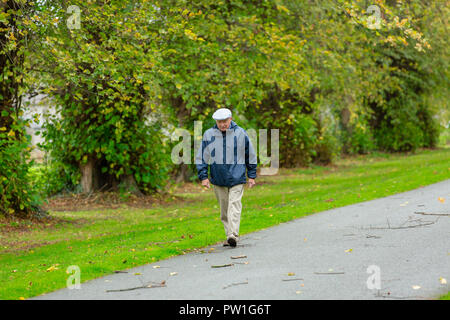 Celbridge, Grafschaft Kildare, Irland. 12 Okt, 2018: Die Folgen des Sturms Callum im Castletown Park, Celbridge. Ruhe am Morgen und Paar herabgefallene Äste aber keine größeren Schäden in der Forstwirtschaft. Die Menschen wandern und jugging foretasted vor dem Regen für den Nachmittag als Sturm Callum bewegt sich über Irland. Quelle: Michael Grubka/Alamy leben Nachrichten Stockfoto