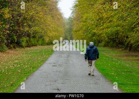 Celbridge, Grafschaft Kildare, Irland. 12 Okt, 2018: Die Folgen des Sturms Callum im Castletown Park, Celbridge. Ruhe am Morgen und Paar herabgefallene Äste aber keine größeren Schäden in der Forstwirtschaft. Die Menschen wandern und jugging foretasted vor dem Regen für den Nachmittag als Sturm Callum bewegt sich über Irland. Quelle: Michael Grubka/Alamy leben Nachrichten Stockfoto
