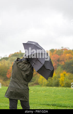 Kidderminster, Großbritannien. Oktober 2018. UK Wetter: Es ist sehr nass und windig! Mildere Temperaturen mögen uns im Freien verführen, aber Besucher eines lokalen Parks in Kidderminster müssen heute Morgen heftigen Regenfällen und immer stärker werdenden, rostenden Winden trotzen. Eine Dame, im nassen Regenmantel, von hinten gesehen, ist hier isoliert und kämpft mit ihrem Regenschirm bei stürmischen, windigen Wetterbedingungen. Kredit: Lee Hudson/Alamy Live News Stockfoto