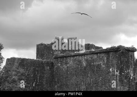 Flug Stockfoto