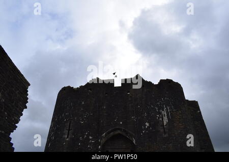 Flug Stockfoto