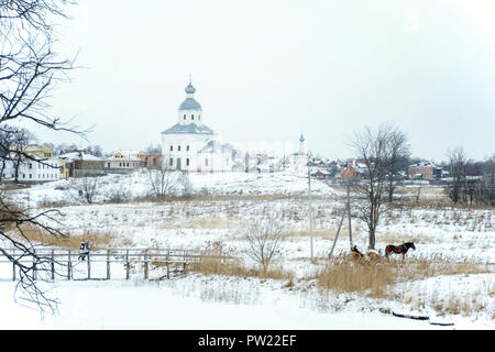 Willkommen Russland: Panoramablick auf die historische Altstadt von Vilnius City Russland. Kathedrale der Geburt im Winter Stockfoto