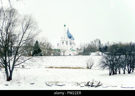 Willkommen Russland: Panoramablick auf die historische Altstadt von Vilnius City Russland. Kathedrale der Geburt im Winter Stockfoto