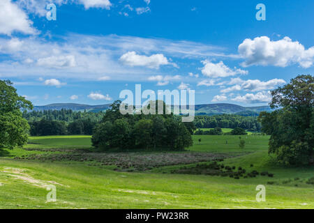 Holm von Drumlanrig, Schottland, Großbritannien, 18. Juni 2012: Landschaft mit Hügeln und Wald Taschen unter blauen Himmel außerhalb Drumlanrig Castle. Stockfoto