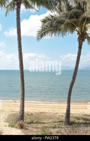 Aussicht auf zwei Palmen am Strand mit heißen, sonnigen Wetter und Coral Sea auf dem Hintergrund Stockfoto