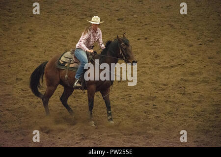 Konkurrenten an der kanadischen Mannschaft Cattle Penning Association National Finals, Nutrien Western Event Center, Calgary Stampede Gelände, Calgary, Alberta, Stockfoto