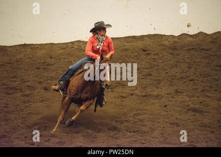 Konkurrenten an der kanadischen Mannschaft Cattle Penning Association National Finals, Nutrien Western Event Center, Calgary Stampede Gelände, Calgary, Alberta, Stockfoto