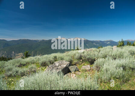 Eine alpine Wiese auf Mount Kobau, British Columbia, Kanada Stockfoto