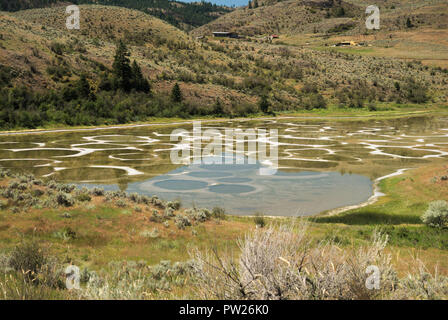 Gefleckte See in der Nähe von Osoyoos, Britisch-Kolumbien, Kanada Stockfoto