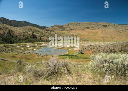 Gefleckte See in der Nähe von Osoyoos, Britisch-Kolumbien, Kanada Stockfoto