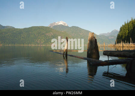 Tote Bäume in der „Tiki Lounge“ am Stave Lake, Mission, British Columbia, Kanada Stockfoto