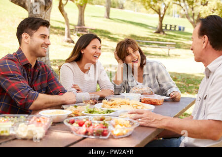 Erwachsene Paare und ältere Eltern bei einem Picknick in einem Park Stockfoto