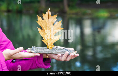 Mädchen in Magenta Jacke holding Holz handgefertigt kleines Spielzeug floss mit eichenlaub als Segel in der Nähe des Flusses auf düsteren Herbst Tag outdoor. Hände closeup Stockfoto