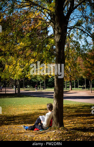 Herbst im Park. Eine Frau liest am Fuße eines Baumes mit gelben Blätter sitzen Stockfoto