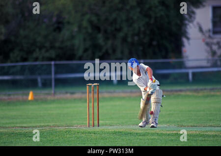 Junior Cricket Spiel im Gange, Sydney, New South Wales, Australien Stockfoto