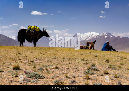 Silhouette von Yak vor der Afghanischen große Pamir auf Trek von Keng Shiber Kara Jilga Zorkul, Naturschutzgebiet, Pamir, Tadschikistan Stockfoto