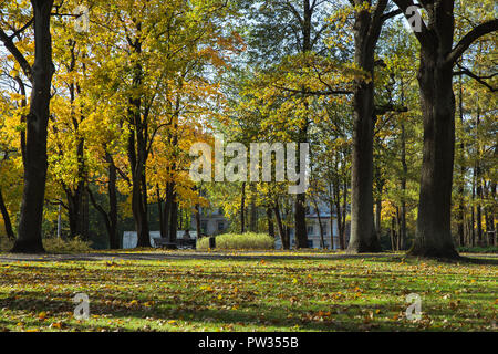 Stadt Riga, Lettland, Herbst. Arkadijas Park, gelb Bäume und Blätter. Die Leute sitzen. Reisen Natur Foto 2018. Stockfoto