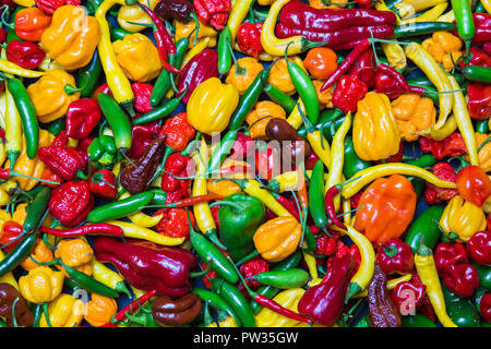 Stadt Riga, Lettland. Viele verschiedene Chili, Farbe, Kunst und Spiel. Viele Farben und Formen. Reisen Foto 2018. Stockfoto