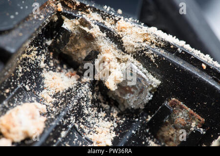 Einlagen von einer AAA-Alkali-Mangan Batterie, der mehrere Jahre im Akkufach des ein paar elektronische Gehörschutz und Le gelassen worden ist Stockfoto