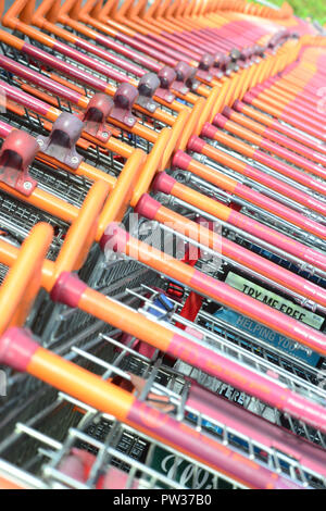 Nahaufnahme der Zeilen von Hunderten von Einkaufswagen im Supermarkt Vereinigtes Königreich Stockfoto