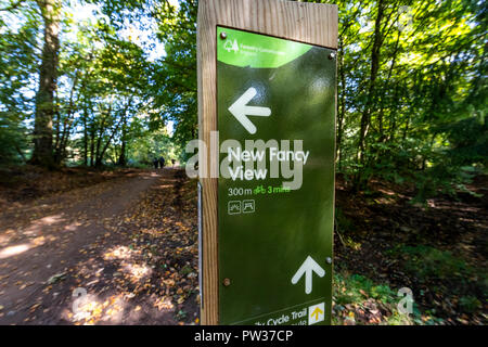 Forstwirtschaft Kommission unterzeichnen für Neue phantastische Aussicht in den Wald von Dean, Gloucestershire. Stockfoto