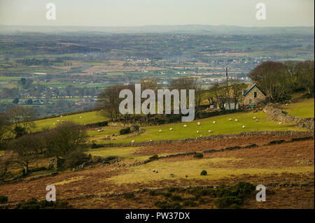 Über einen kleinen Bauernhof mit weidenden Schafen in der Nähe von Dundalk, Irland Stockfoto