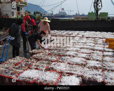 Busan, Südkorea. Oktober 2012: Der jagalchi Fischmarkt ist ein Vertreter der Fischmarkt und ein Reiseziel in Busan. Viele Touristen besuchen Jag Stockfoto