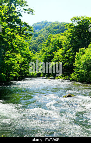 Oirase Stream Stockfoto