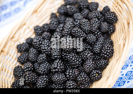 Frische Brombeeren in einem Weidenkorb Stockfoto