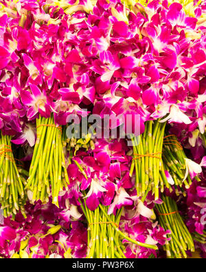 Viele Blumensträuße von hell lila Blumen auf Verkauf in Bangkok, Thailand Stockfoto