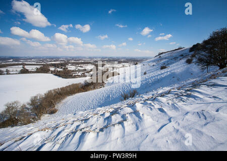 Schnee auf South Downs, in der Nähe von Ditchling Beacon, South Downs National Park, East Sussex, England, Großbritannien. Stockfoto