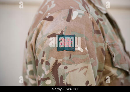 Britische Armee Soldaten bereiten dem Parlament bis März von MPs für Service in vielen Theatern der Operationen gedankt werden, die verschiedene Regimenter Stockfoto