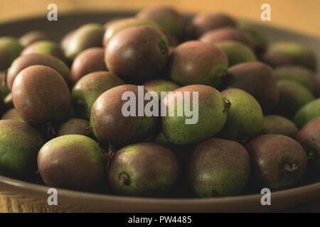 Kiwi Beeren Actinidia arguta mini Kiwis Stockfoto