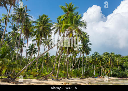 Palmen am tropischen Strand auf Koh Kood Insel in Thailand Stockfoto