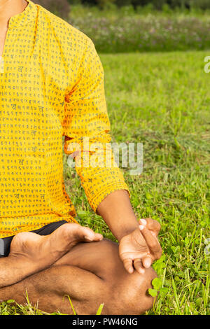 Hälfte - Blick auf Lotus position Körper des indischen Yoga Master tragen gelbe Shirt in natürlichen Gras Hintergrund Stockfoto