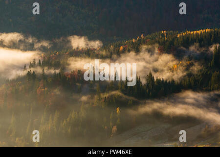 Schönen Herbst Landschaft am frühen Morgen in den Karpaten, in der Ukraine. Stockfoto
