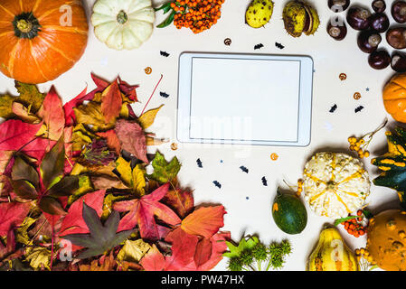 Moody Herbst Hintergrund Bild mit bunten Blättern, Kürbis, Kastanien mit weißen leere Tablet mit Freiraum für Nachricht als Vorlage Stockfoto