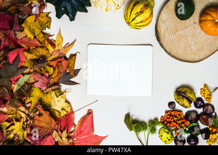 Moody Herbst Hintergrund Bild mit bunten Blättern, Kürbis, Kastanien mit weißen leere Notepad mit Freiraum für Nachricht als Vorlage Stockfoto