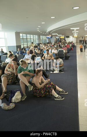 Junge Reisende wit geduldig durch das Gate für den Flug am JFK International Airport in New York City. Stockfoto