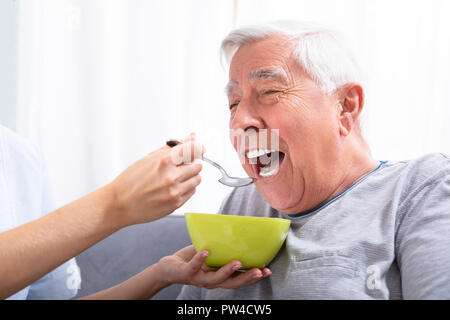 In der Nähe von einem Hausmeister Hand Fütterung älterer Mann Stockfoto