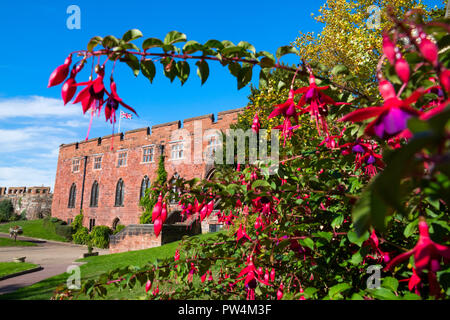 Shrewsbury Castle, Shropshire, im Herbst Sonnenschein. Stockfoto