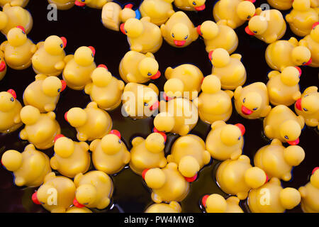 Hohe Betrachtungswinkel von Gummi Enten auf dem Wasser schwimmend Stockfoto