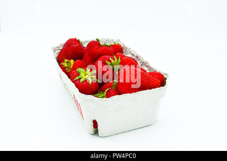 Erdbeeren im Karton, punnet von Erdbeeren auf weißem Hintergrund Stockfoto