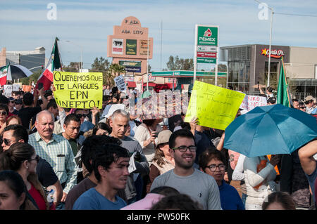 Protersters in Mexicali Baja. Mexiko gegen den Gouverneur von Baja California (FRANCISCO VEGA) und Präsident von Mexiko (Enrique Peña Nieto) Stockfoto