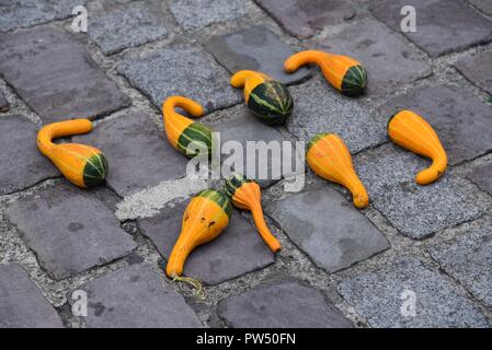 Gourdes (Cucurbitaceae): acht Kürbisse kann auf dem Display für Verkauf auf einer gepflasterten Französische Straße Stockfoto